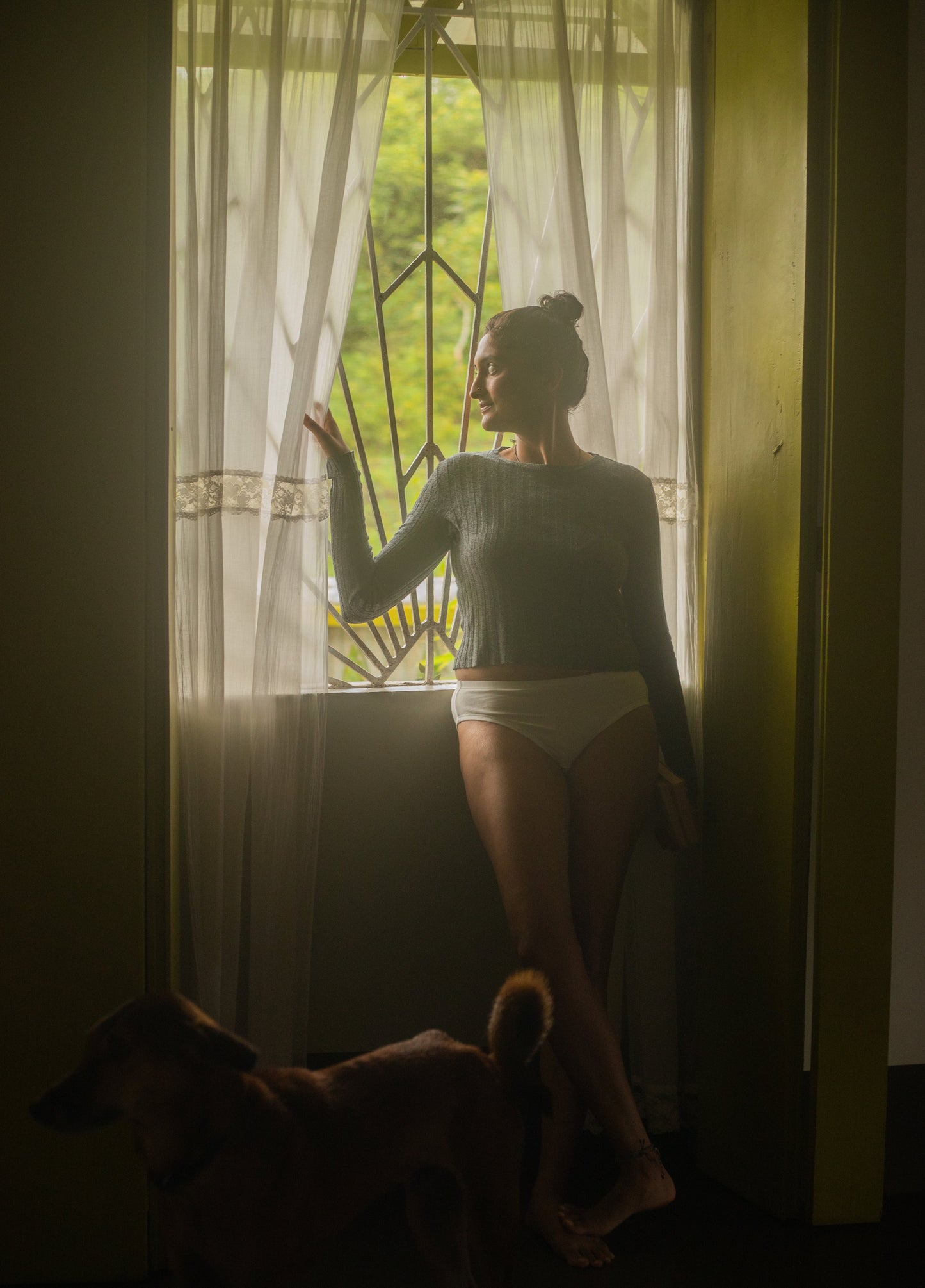 Organic Cotton Women's Bikini Underwear