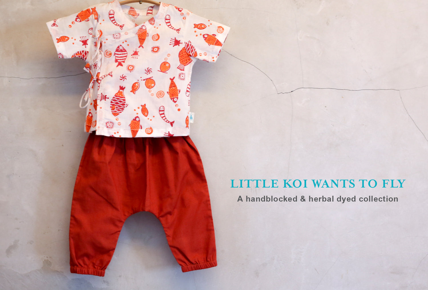 Little Koi Wants To Fly