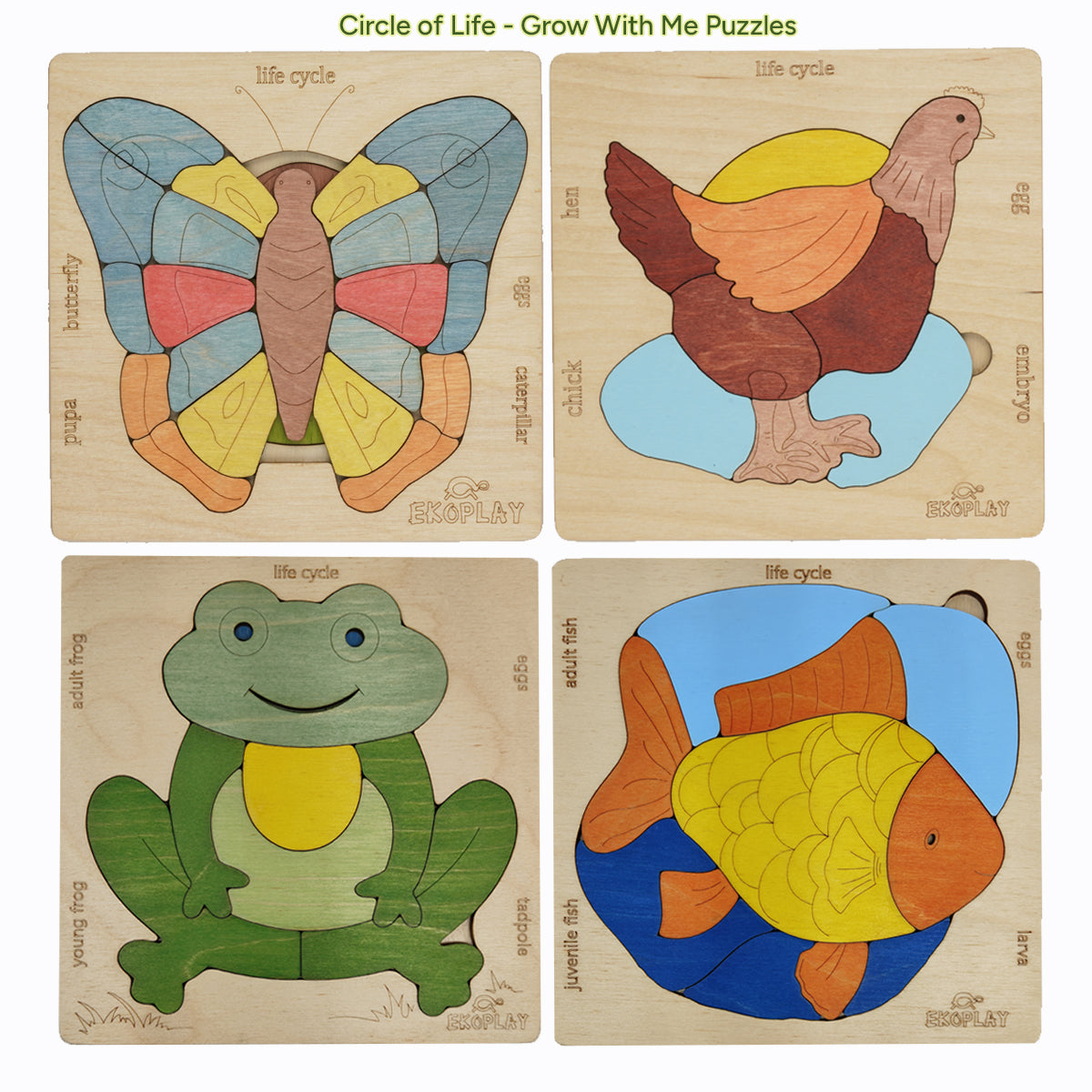 Life Cycle Series