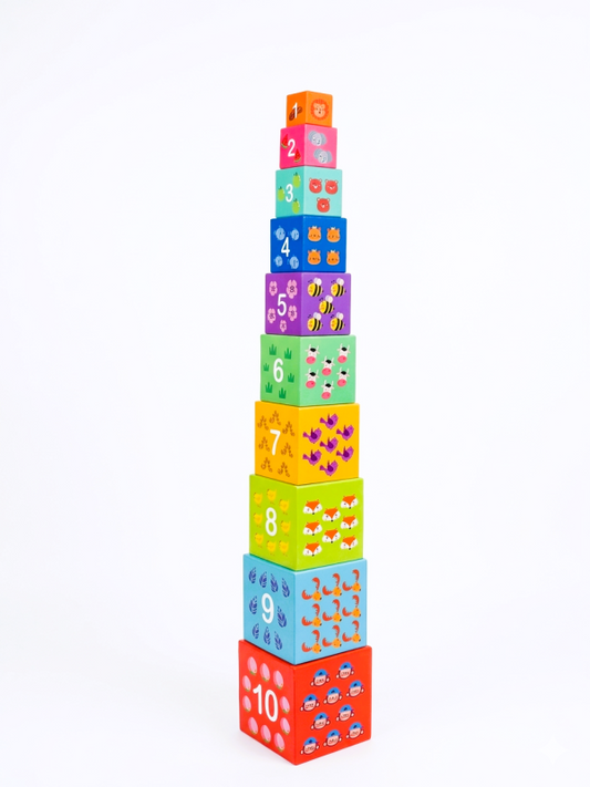 Montessori Cardboard Stacking & Nesting Blocks